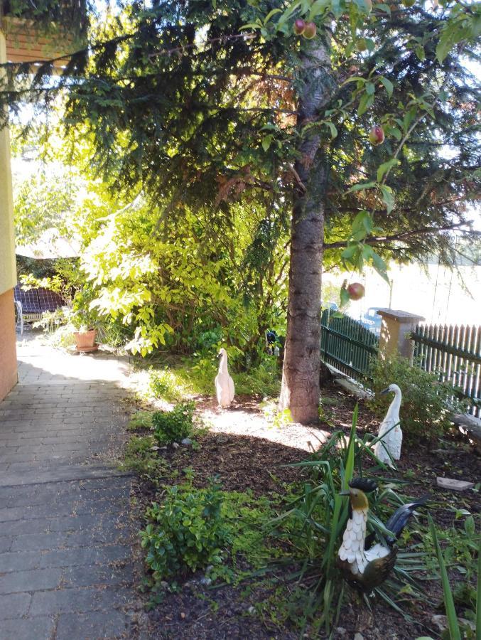B&B Family Basement Apartment, Breakfast, Free Parking, 5Km From Tulln Chorherrn المظهر الخارجي الصورة