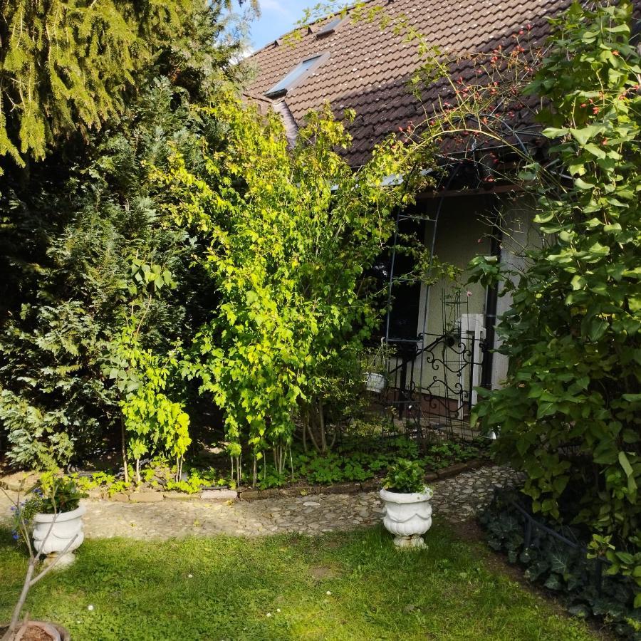 B&B Family Basement Apartment, Breakfast, Free Parking, 5Km From Tulln Chorherrn المظهر الخارجي الصورة